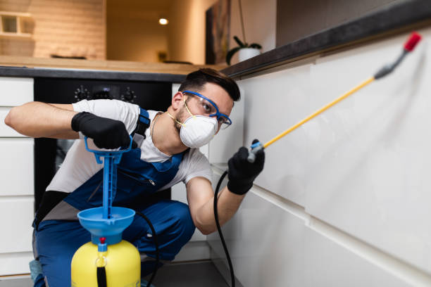 Best Pest Control Near Me  in Parksdale, CA