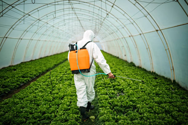 Best Best Pest Control Companies  in Parksdale, CA