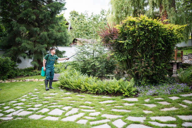 Best Wasp Removal Services  in Parksdale, CA