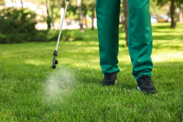 Best Rat Extermination Near Me  in Parksdale, CA