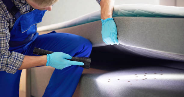 Best Best Pest Control Companies  in Parksdale, CA