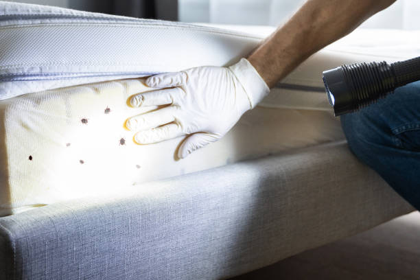  Parksdale, CA Pest Control Pros