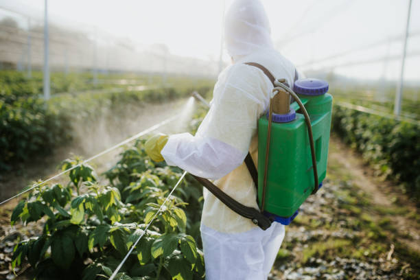Best Flea Control Services  in Parksdale, CA
